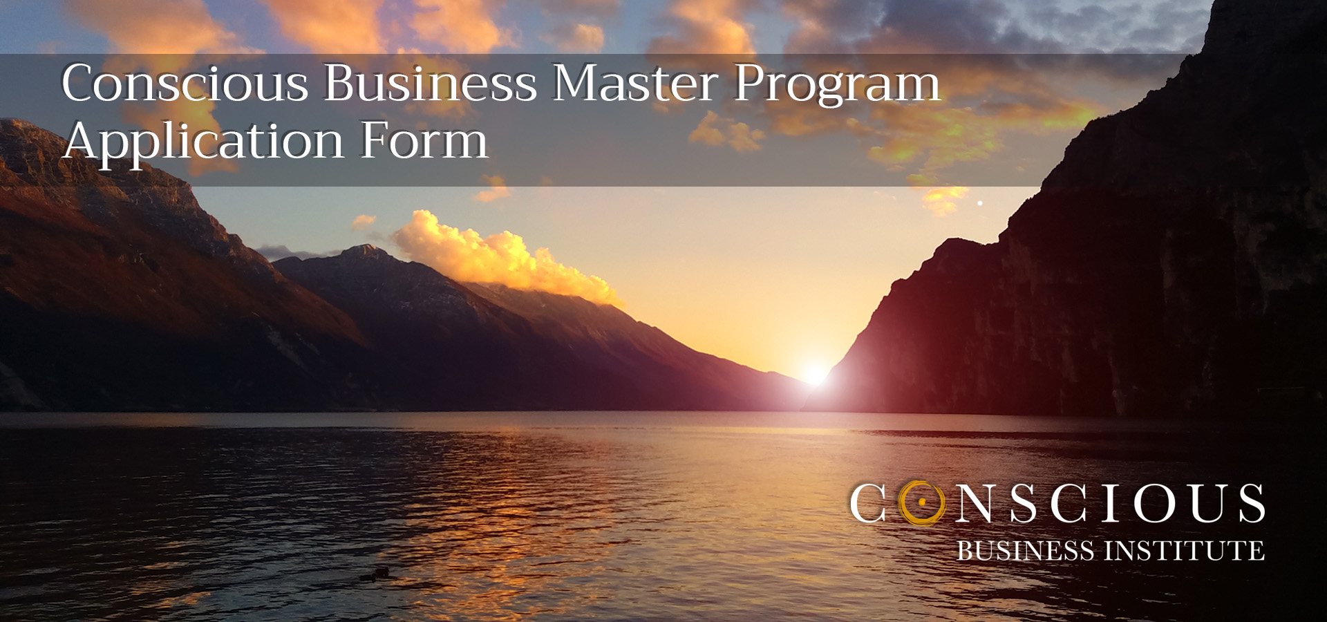 CBI Master Application Header